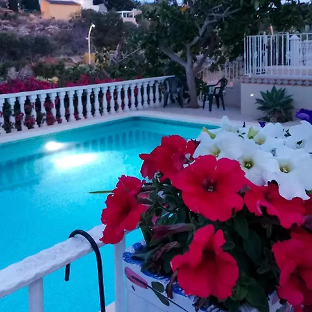Nice In With Wifi Apartamento Torrevieja
